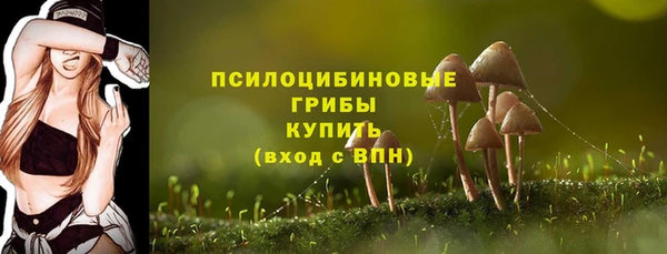 трава Абаза